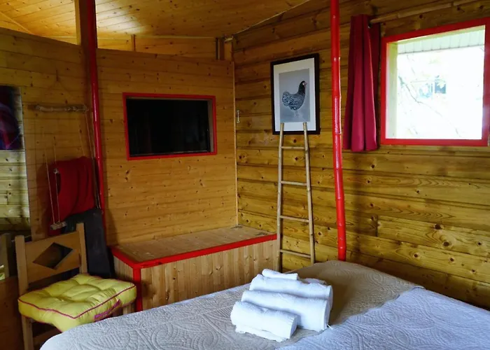 Cabane en bois climatisée