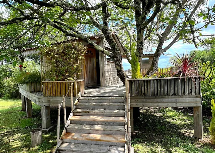 Cabane En Bois Climatisee