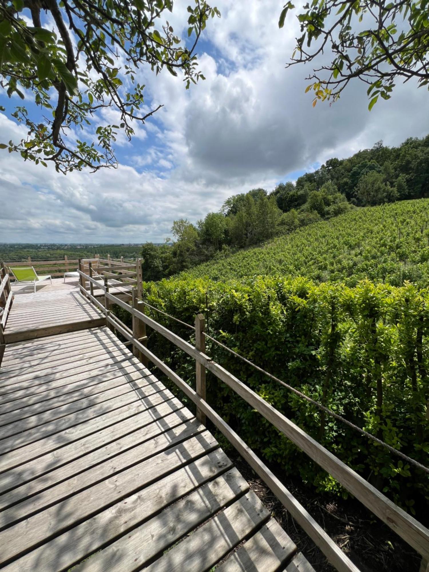 En Bois Climatisée Appartement Fronsac (Gironde)