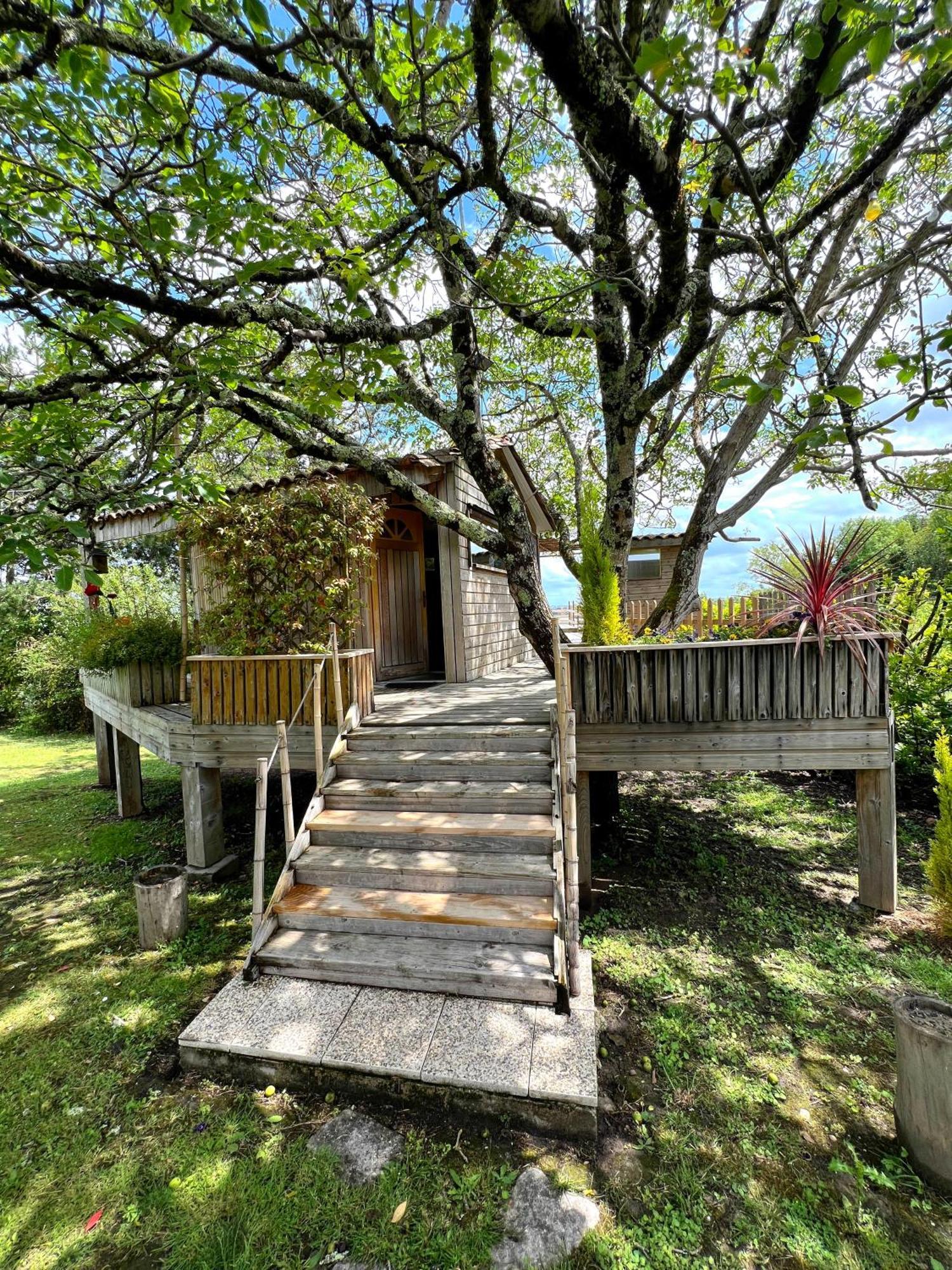 En Bois Climatisée Appartement *